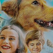 Здрасти Вы Центр Занятости