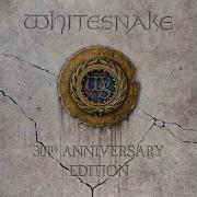 Whitesnake Crying In The Rain