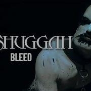 Meshuggah Bleed