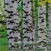 Аркадий Кобяков Моя Любимая