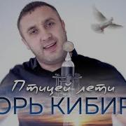 Птицей Ко Мне Ты Лети Игорь Кибирев Скачать