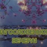 Доброго Вечера