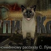 Сергей Лукьяненко Купи Кота