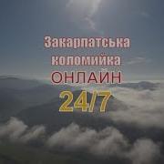 Закарпатська Музика