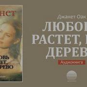 Любовь Растет Как Дерево Скачать