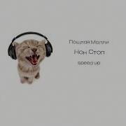Молли Спид Ап