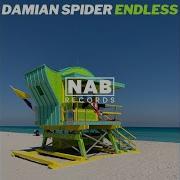 Damian Spider Endless