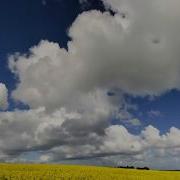 Ошо Разум Творческий Отклик На Сейчас