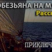 Обезьяна На Мачте