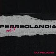 Dj Peligro Perreolandia Vol 1 Reggaeton Mix