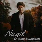 Heyder Nazdikbin