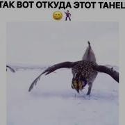 Лезгинка Электро