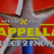 Capella Remix 2023