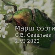 С В Савельев Марш Сортинга