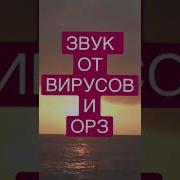 Андрей Дуйко Звук От Вирусов