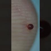 Заметёт Белый Снег Заморозит Холод Окна