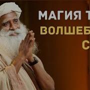Отбросьте Мораль И Просто Примите Жизнь