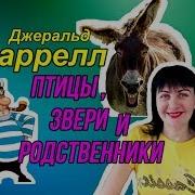 Птицы Звери И Родственники