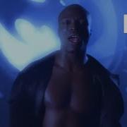 Seal Kiss From A Rose Cover