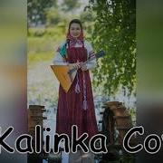 Song Kalinka Malinka Accordion Cover