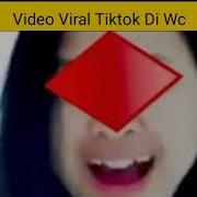 Viral Di Tiktok Di Wc