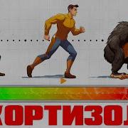 Тринировки Делают Нас Силнеи