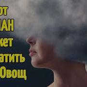 Ясность В Голове