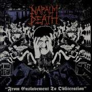 Display To Me Napalm Death