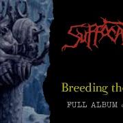 Suffocation 1993 Full Album