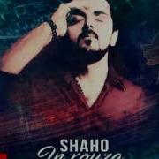 Shaho Shegerf