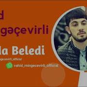 Vahid Mingecevirli Buda Beledi