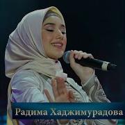 Нохчи Къонахи