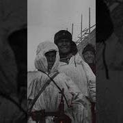 Историк Никулин
