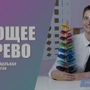 Музыкальная Игра Деревце