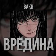 Вредина Bakr Speed Up