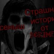 Страшные Истории Крысеныш