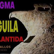 Enigma Aguila