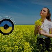 Зелене Листя Білі Каштани