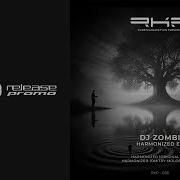 Dj Zombi Harmonized Dmitry Molosh Remix Rkp