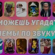 Мем Звук По 5 Секунд