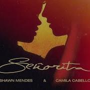 Shawn Mended Ft Camilla Cabello Acapella