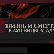 Жизнь И Смерть В Аушвицком Аду