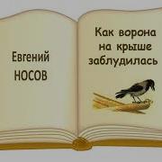 Как Ворона На Крыше Заблудилась