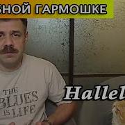Алилуя Губная Гармошка