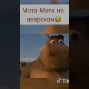 Мото Мото На Аварском