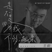 是不是我不够温柔 王韵