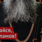 Меня Посадят За Оскорбление