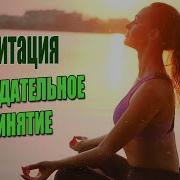 Медитация Сострадательное Принятие