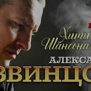 Александр Звинцов 2019