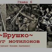Брушко Друг Мотилонов Глава 6